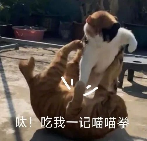 配置步骤配图