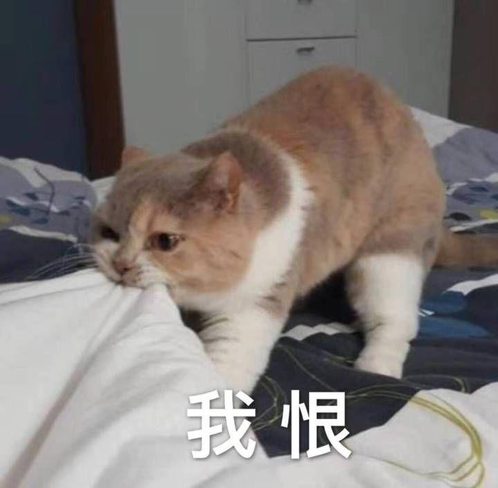 无法直接保存封面时的配图