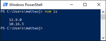 NVM 列表,显示已安装的 Node.js 版本