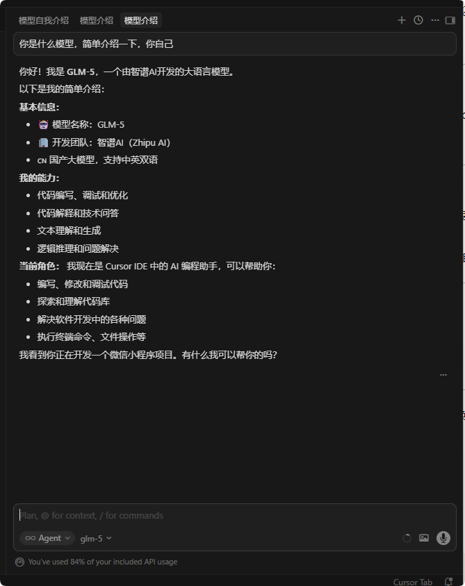 Cursor 额度烧完?用阿里云 Coding Plan 接入自定义 API,亲测可用 插图13