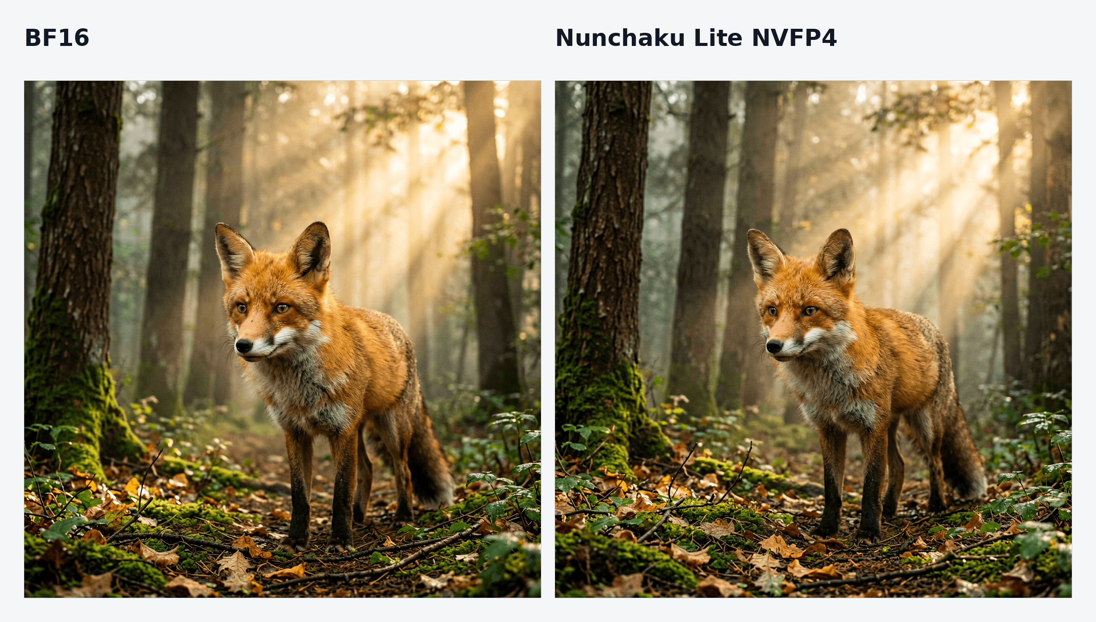 Hugging Face Blog 原图:左侧 BF16、右侧 Nunchaku Lite NVFP4,对同一红狐主题展示的图像结果;图片没有附数值指标。