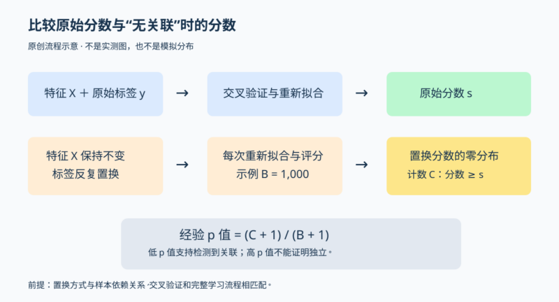 用置换检验判断分类分数是否显著-未完纪