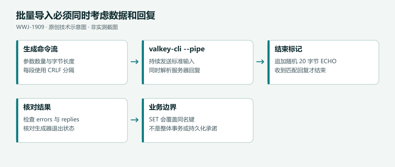 RESP 生成器将带字节长度的命令流交给 valkey-cli pipe,同时读取回复并用最后的 ECHO 确认传输结束。