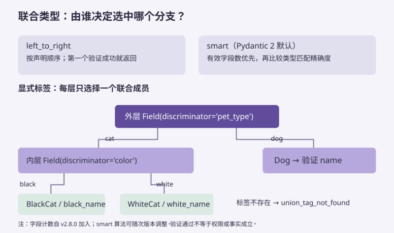 为 Pydantic 联合类型选择可预测的判别方式-未完纪
