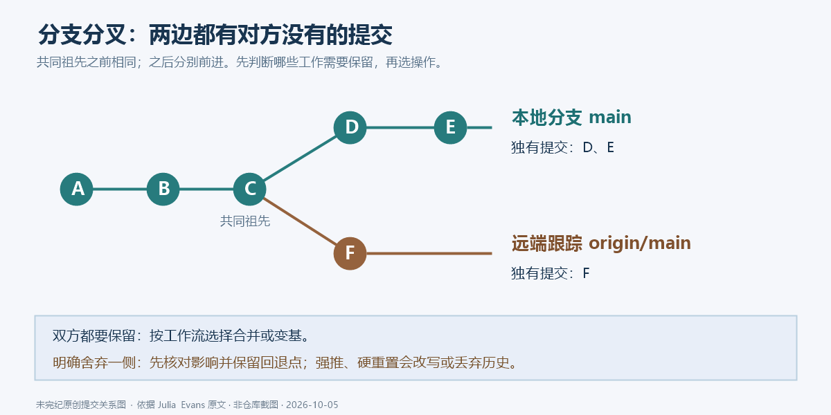 本地与远端从共同提交 C 分成两条路径,本地多出 D、E,远端多出 F;合并或变基保留双方,强推或重置会舍弃一侧分支历史。