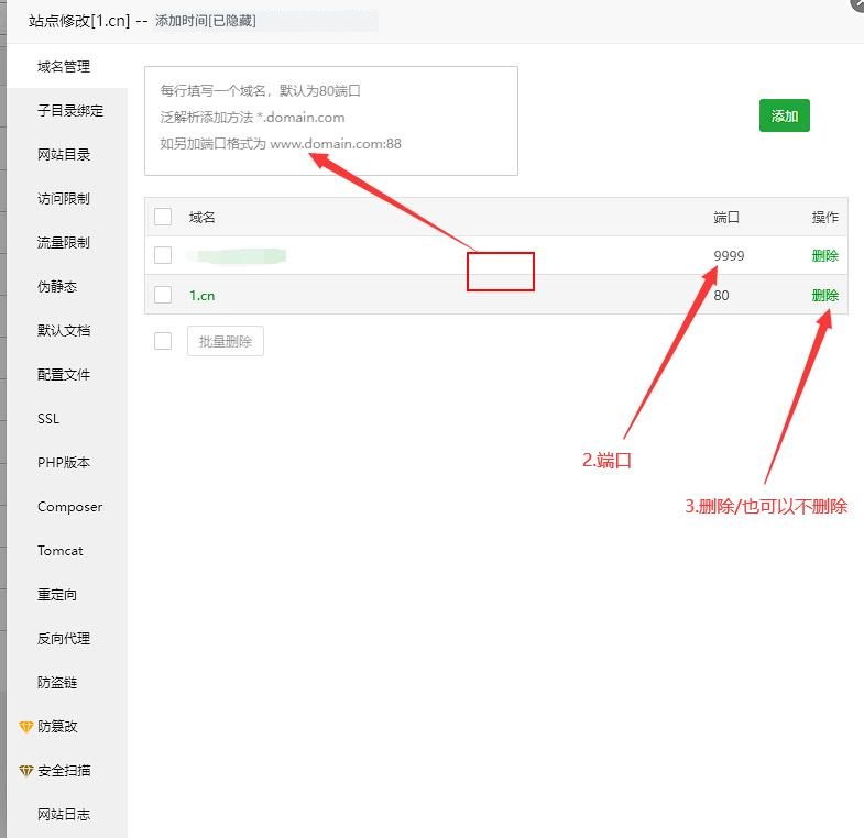 域名管理中添加 IP 与 9999 端口